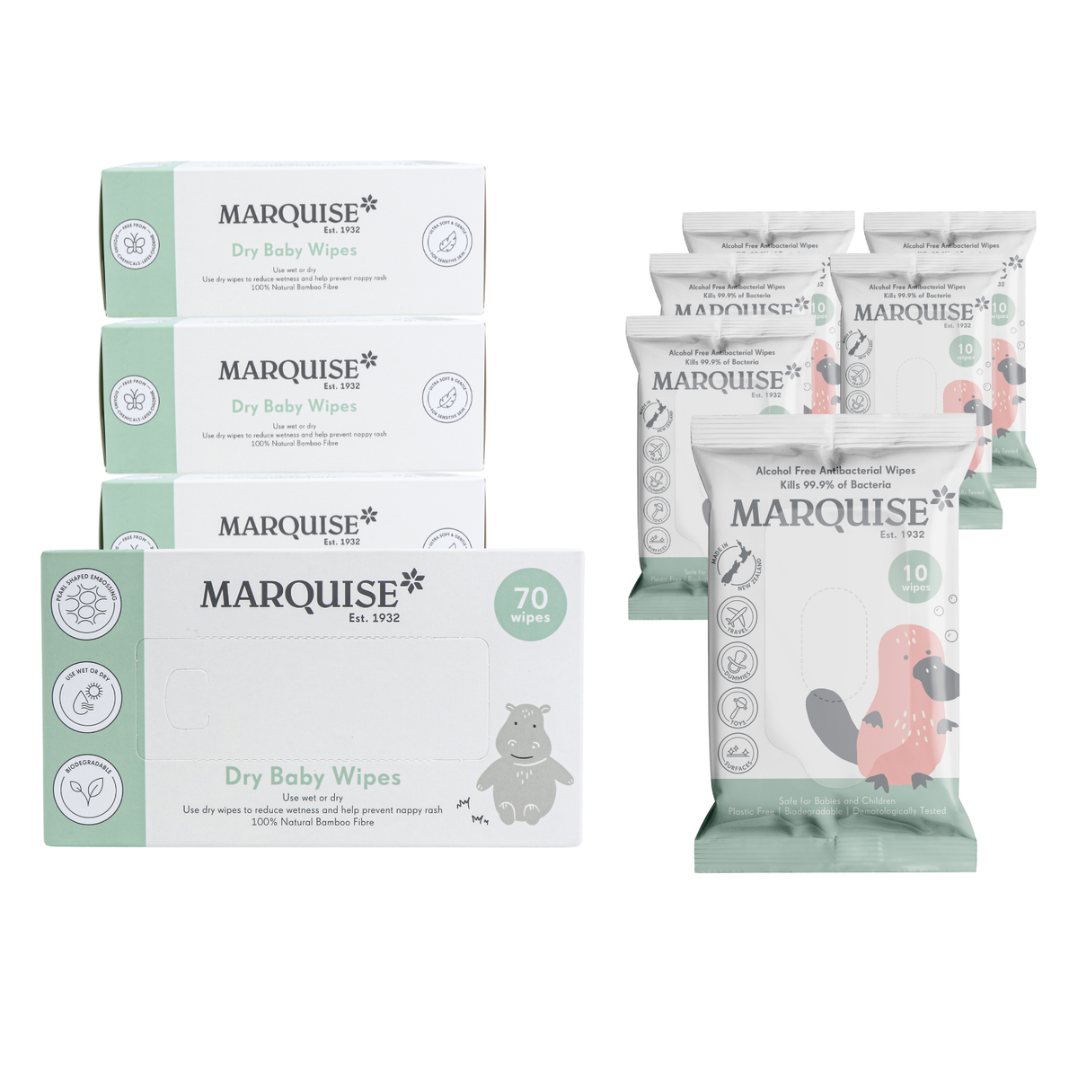 Dry Wipes & Alc Free Antibacterial Wipes Bundle