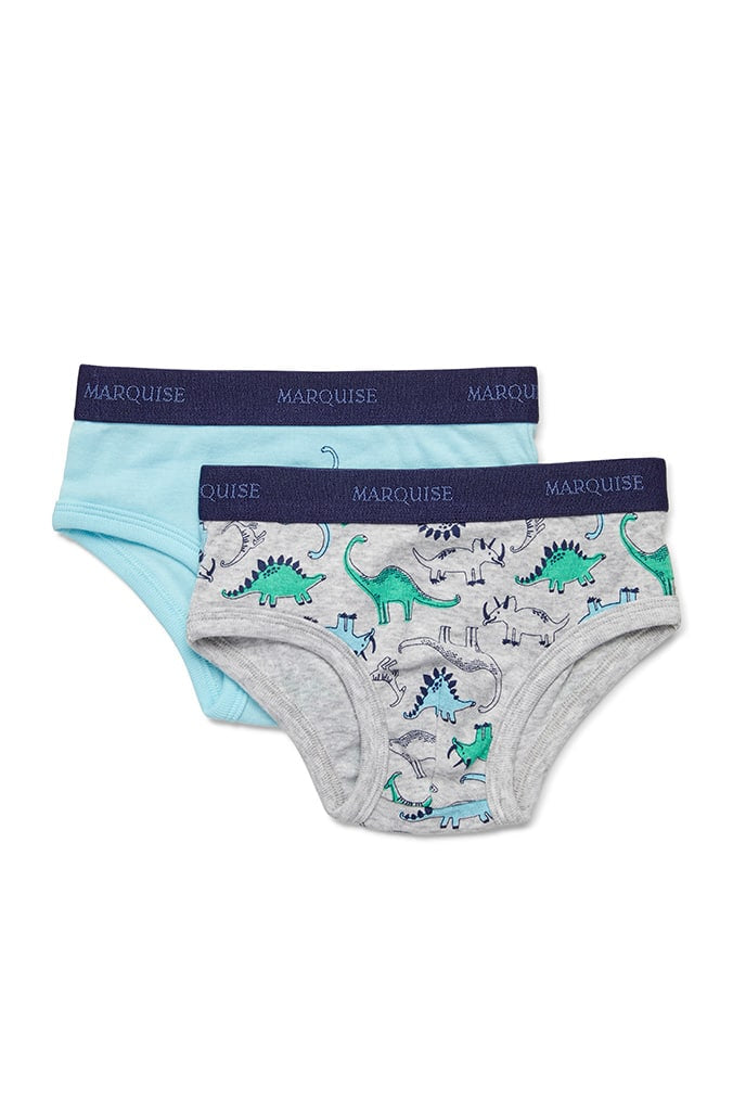 Boys Dinosaurs Underwear 2 Pack