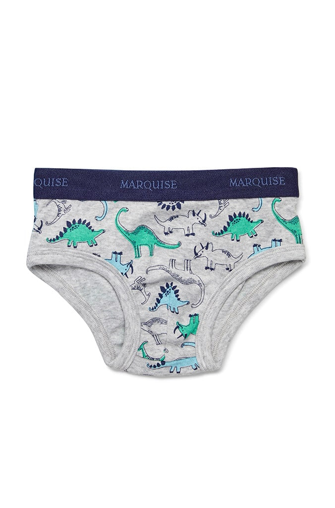 Boys Dinosaurs Underwear 2 Pack