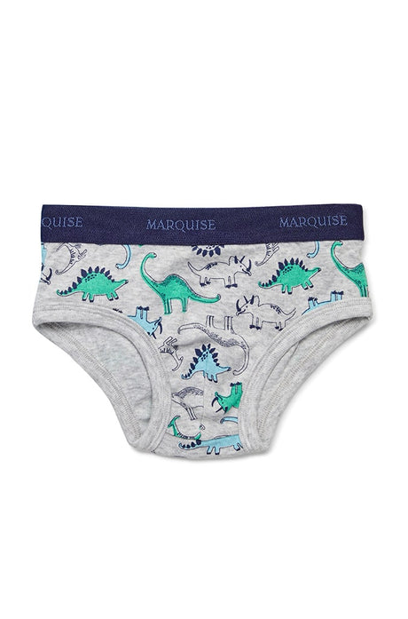 Boys Dinosaurs Underwear 2 Pack