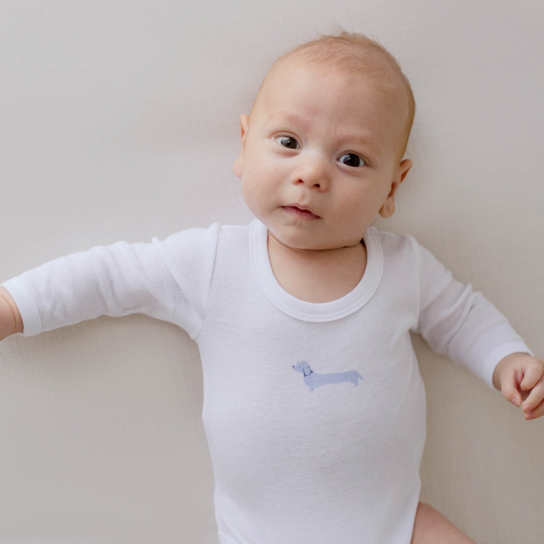 Everyday Essentials Dog Blue & White Bodysuit 2 Pack