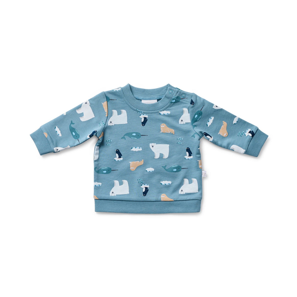 Arctic Track Jumper & Pant Set