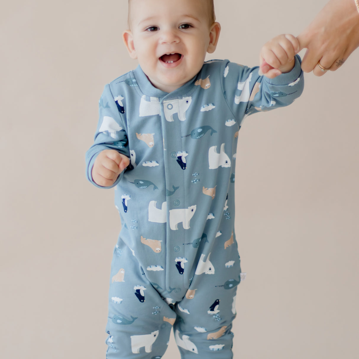 Arctic Friends Cosy All-In-One