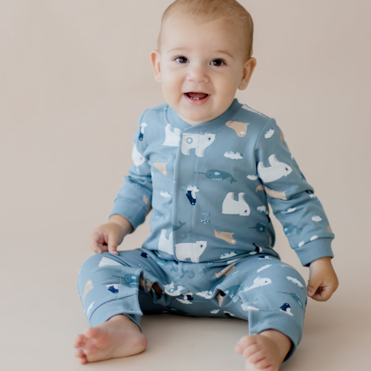 Arctic Friends Cosy All-In-One