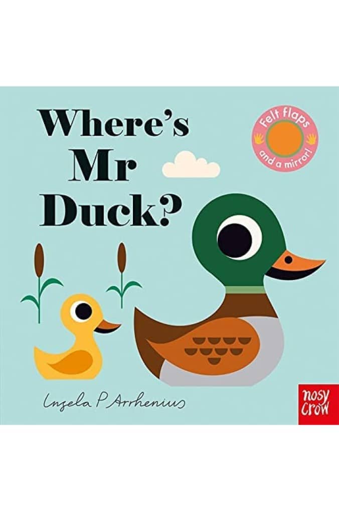 Where's Mr Duck?