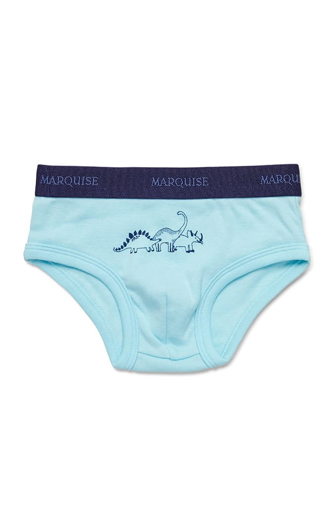 Boys Dinosaurs Underwear 2 Pack