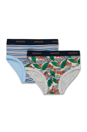 Boys Tiger Underwear 2 Pack