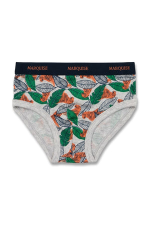 Boys Tiger Underwear 2 Pack