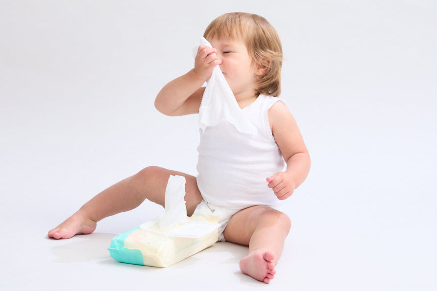 Marquise Eco Water Wipes