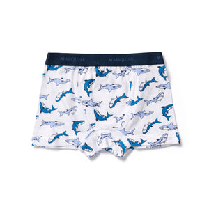 Boys Animal Underwear & Trunks 4 Pack