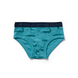 Boys Animal Underwear & Trunks 4 Pack