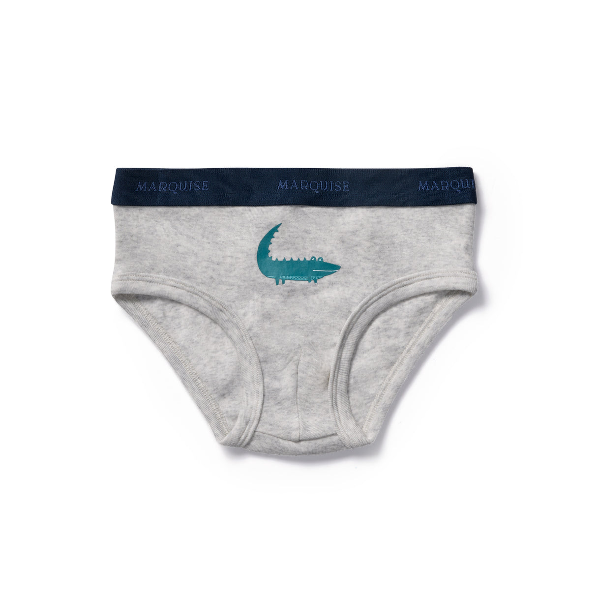 Boys Animal Underwear & Trunks 4 Pack