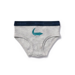 Boys Animal Underwear & Trunks 4 Pack