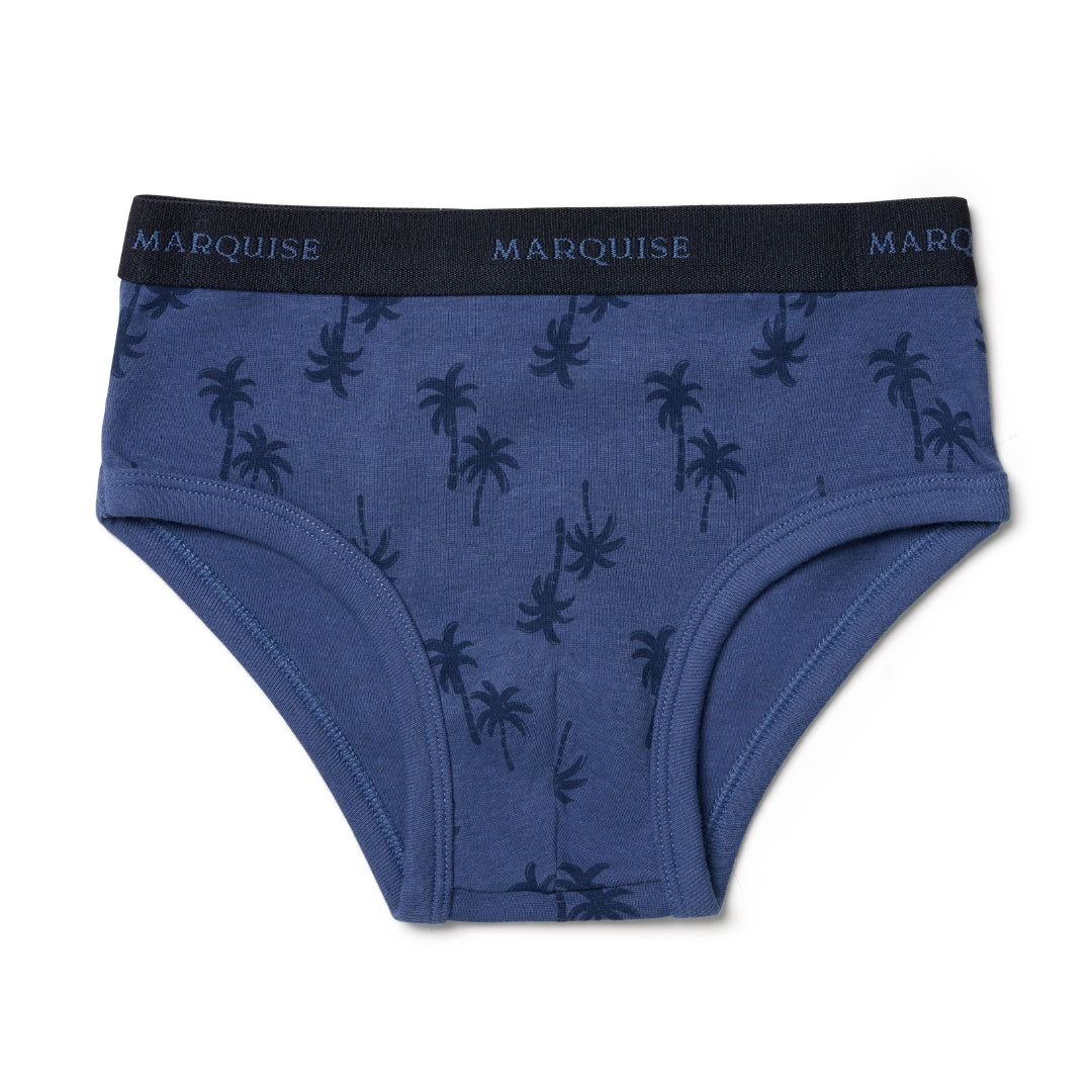 Boys Blue Underwear 5 Pack