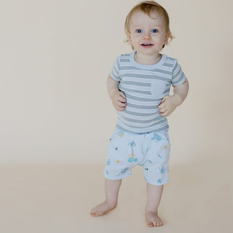 Bert's Backyard Tee & Shorts Set