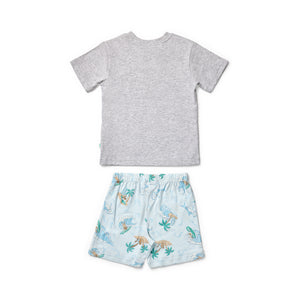 Surfs Up Grey Short Sleeve Pyjama Set