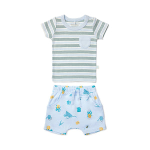 Bert's Backyard Tee & Shorts Set