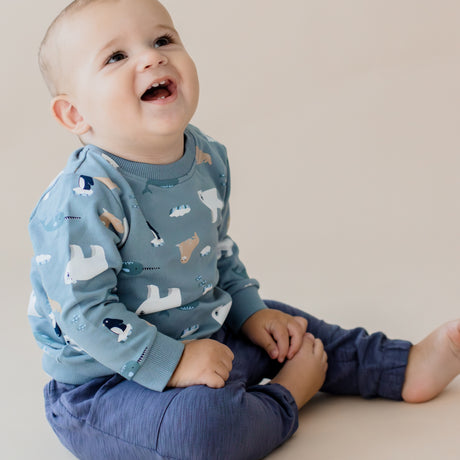 Arctic Track Jumper & Pant Set