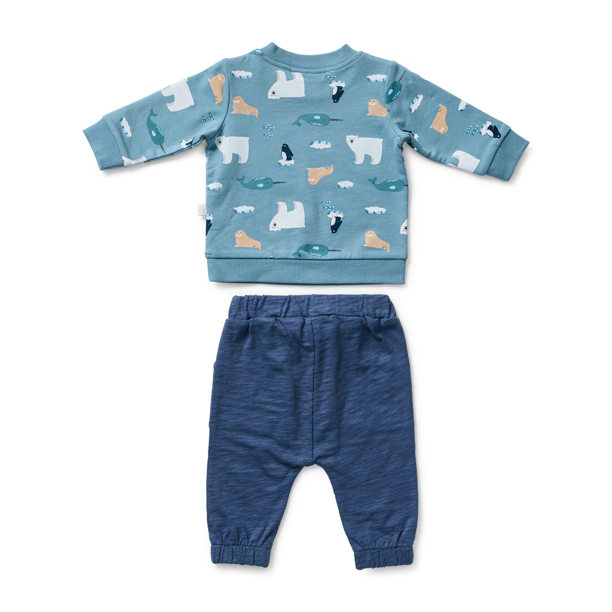 Arctic Track Jumper & Pant Set