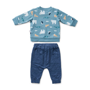 Arctic Track Jumper & Pant Set