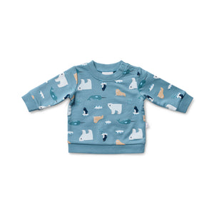 Arctic Track Jumper & Pant Set
