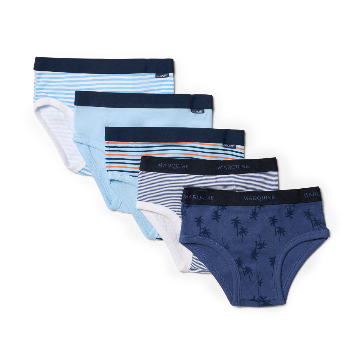 Boys Blue Underwear 5 Pack